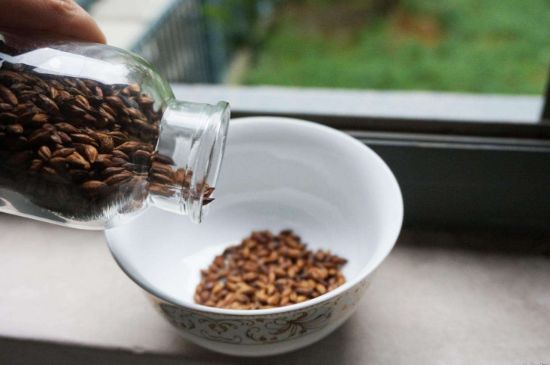 大麥茶上火嗎，喝大麥茶會不會上火？