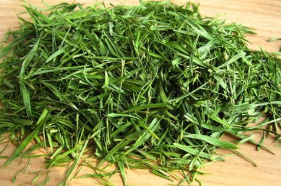 哪類人不適合喝石竹茶，石竹茶的功效與禁忌