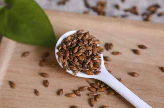 大麥茶上火嗎，喝大麥茶會不會上火？