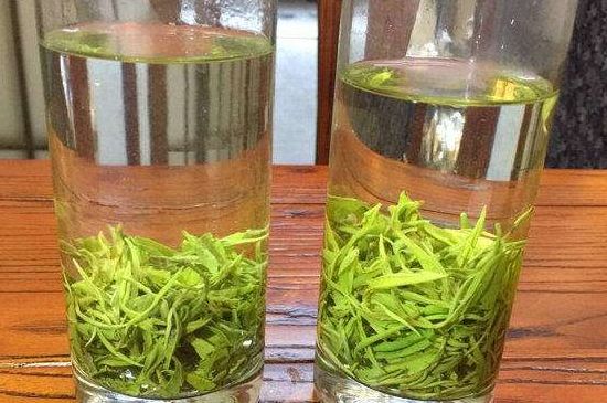 黃金茶的功效及禁忌癥，黃金茶有什么副作用嗎？