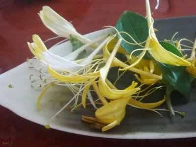 喝茶治口臭嗎，什么茶治口臭好？