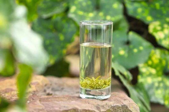 碧螺春沖泡三要素，碧螺春怎么泡才正確？