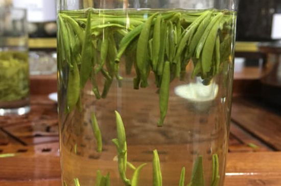 雀舌茶的副作用，雀舌茶什么人不能喝？