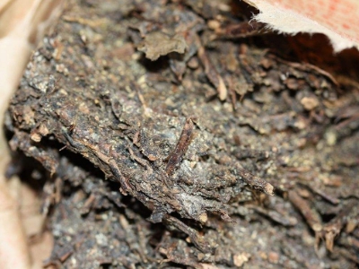 長期飲用黑茶的副作用，黑茶的功效與作用