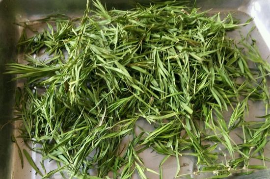 哪類人不適合喝石竹茶，石竹茶的功效與禁忌