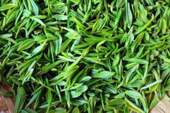 云霧綠茶的功效及禁忌，哪些人不適合喝云霧茶