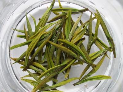 安吉白茶的功效與作用，簡(jiǎn)單概括安吉白茶功效