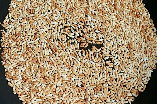 玄米茶是紅茶嗎，玄米茶怎么喝