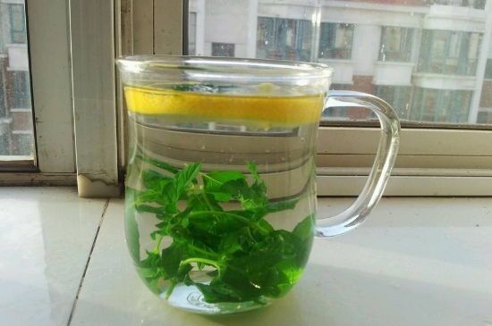 薄荷茶的功效與作用，喝薄荷茶有什么好處？
