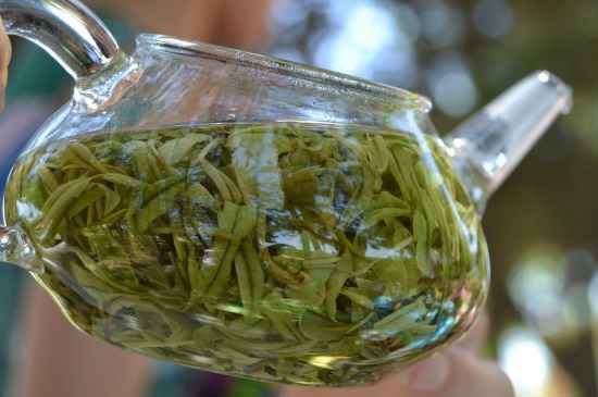 新手學(xué)泡茶的基本常識，從零開始學(xué)泡茶