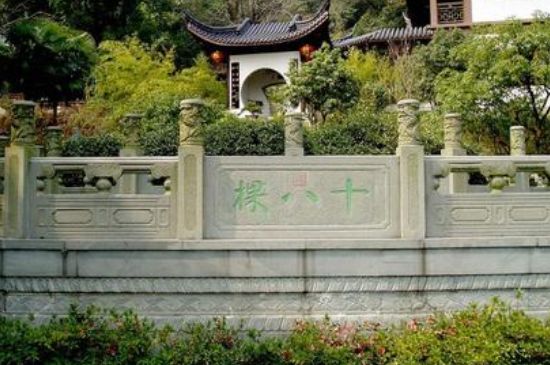 世界最貴的茶葉排行榜，十大最貴的茶