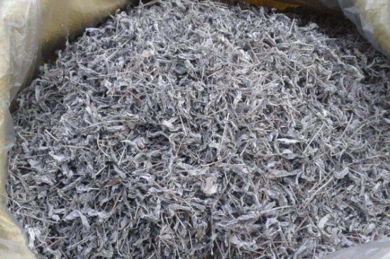 怎樣辨別莓茶發(fā)霉了，莓茶發(fā)霉和白霜的區(qū)別