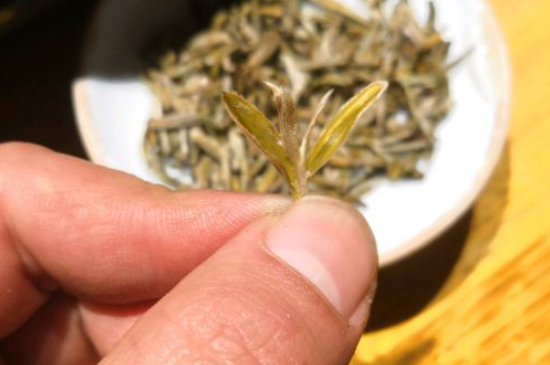 六大茶類哪種適合長期存放，日常如何保存方法一覽？