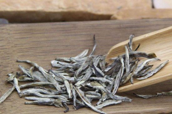 春茶季怎么辨別白毫銀針的好壞，好的白毫銀針如何選購？