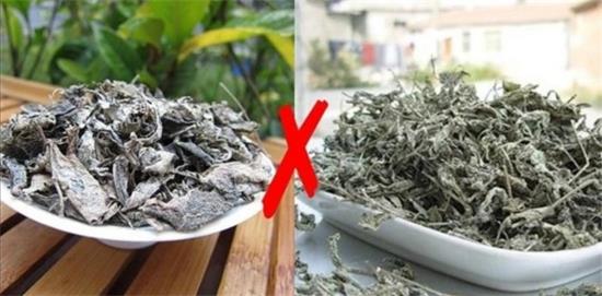 張家界茅巖莓茶與藤茶是同一種茶嗎，藤茶跟莓茶一不一樣？