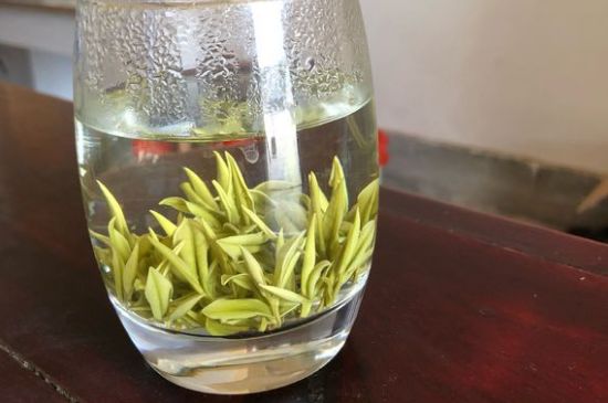 安吉白茶耐寒嗎，白茶適合放冰箱嗎