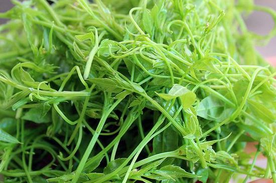 茅巖莓茶別名是什么，莓茶別名叫藤茶嗎？