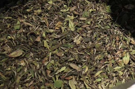 陳茶還是新茶好，茶葉是新茶好喝還是陳茶好喝