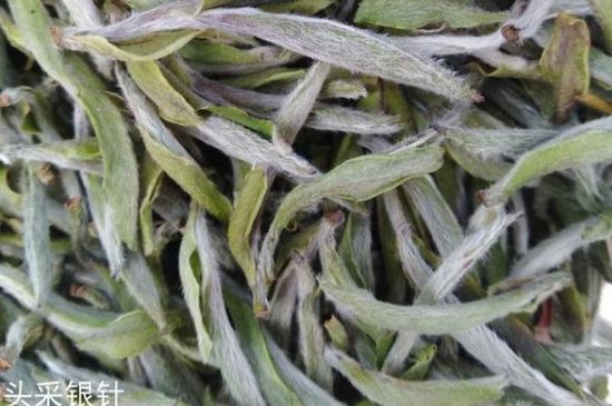 春茶季怎么辨別白毫銀針的好壞，好的白毫銀針如何選購？