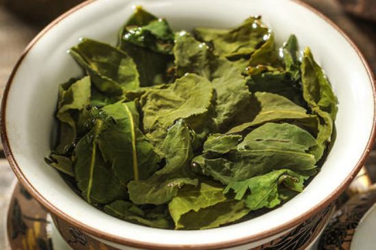 陳茶還是新茶好，茶葉是新茶好喝還是陳茶好喝