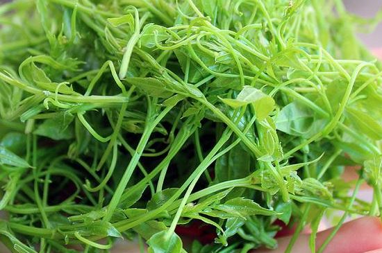 茅巖莓茶保質(zhì)期有多久，張家界莓茶存放時(shí)間長(zhǎng)了還能喝嗎？