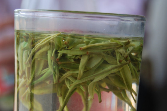 白茶的年份是怎么區(qū)分，如何辨別白茶年份