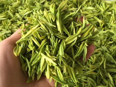 白茶品質(zhì)如何區(qū)分，白茶的優(yōu)劣質(zhì)量辨別方法