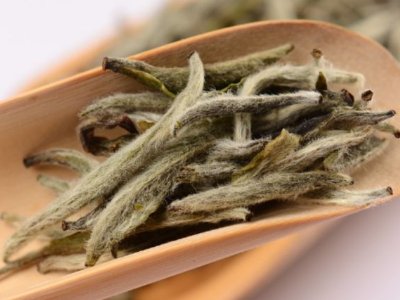 白毫銀針放幾年最好，白毫銀針什么年份最好？