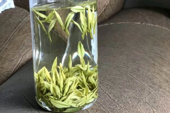 安吉白茶夏天怎么保存，安吉白茶能冷凍儲(chǔ)存嗎？