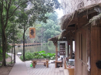 實體店買茶葉的技巧，新手買茶須知