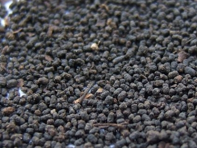 圓形顆粒狀茶是什么茶，像飼料一樣一粒粒的是什么茶？