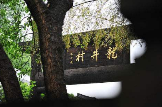 杭州買龍井茶攻略，怎么買到正宗的西湖龍井？