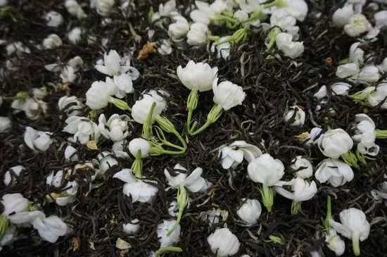 茉莉龍珠怎么做的，茉莉龍珠的制作工藝