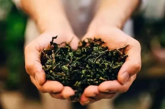 茶葉怎么炒制才香，怎樣炒茶葉更香？