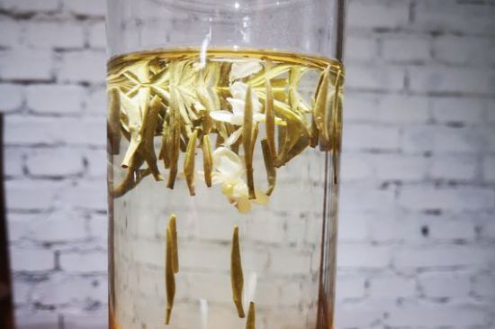 茉莉泡水禁忌，喝茉莉茶葉有什么禁忌