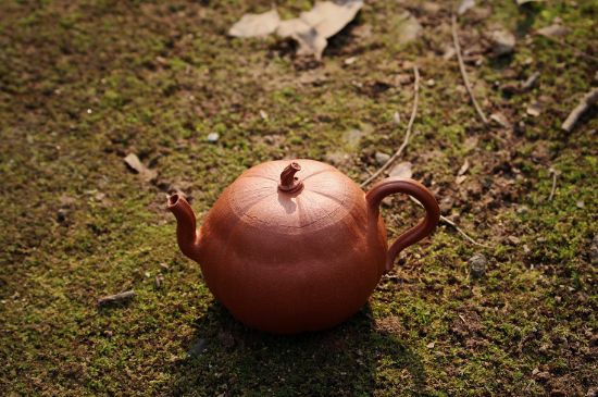 紫砂壺泡什么茶最佳，紫砂壺一般泡什么茶？