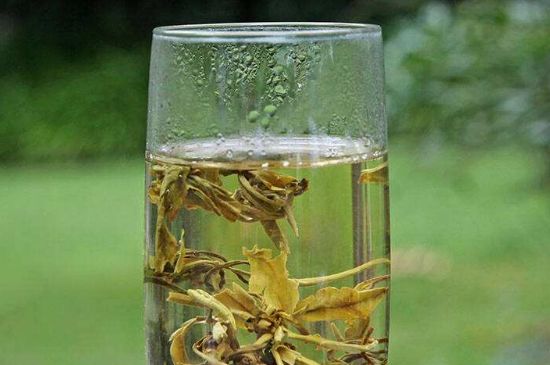 茉莉龍珠什么人不能喝，茉莉龍珠茶什么體質(zhì)不能喝？