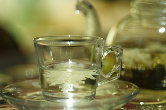 菊花茶天天喝行嗎，每天喝菊花泡茶喝好嗎？