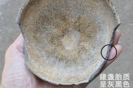 假建盞的特點(diǎn)，真假建盞區(qū)分帶圖