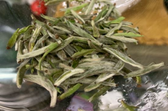 蒸汽煮茶器適合什么茶，蒸汽煮茶器適合用綠茶嗎？