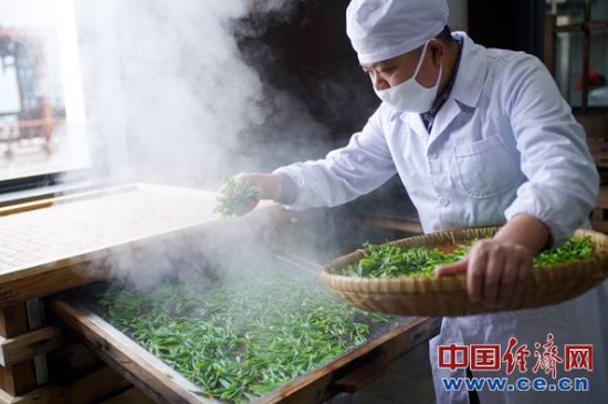 炒青綠茶與綠茶的區(qū)別，烘青和炒青哪個好喝？
