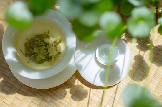 茉莉花茶6種人不要喝，什么體質(zhì)不適合喝茉莉花茶？