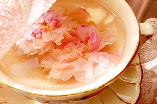玫瑰花茶一周喝幾次，玫瑰花茶可以天天喝嗎？
