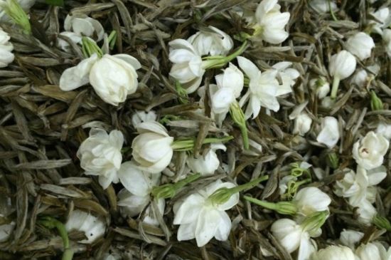 茉莉銀針口感，茉莉銀針是什么味道？