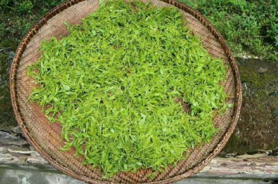茅巖莓茶加工工藝，莓茶的工藝制作過程