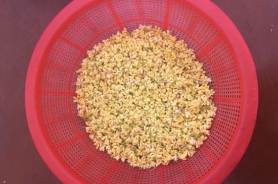 干桂花茶的制作方法，怎樣自制桂花茶？