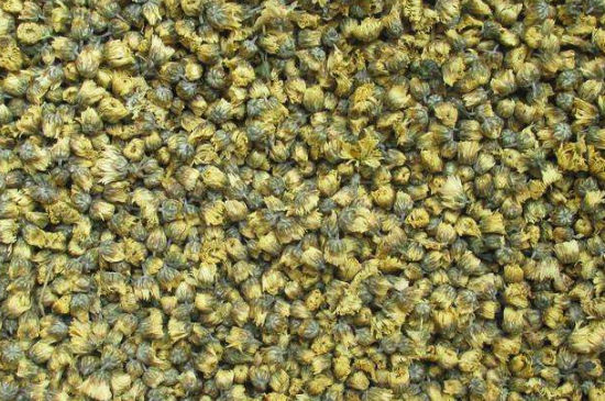 菊花茶大朵小朵有什么區(qū)別，菊花喝大朵還是小朵？