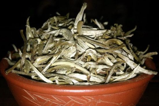 茉莉花茶6種人不要喝，什么體質(zhì)不適合喝茉莉花茶？