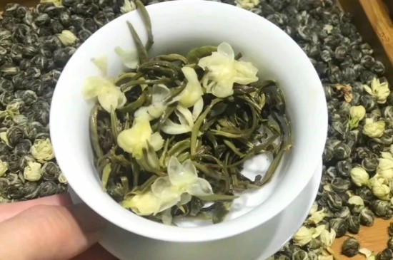 茉莉香珠跟龍珠有什么區(qū)別嗎，茉莉龍珠和茉莉香珠那個(gè)好？