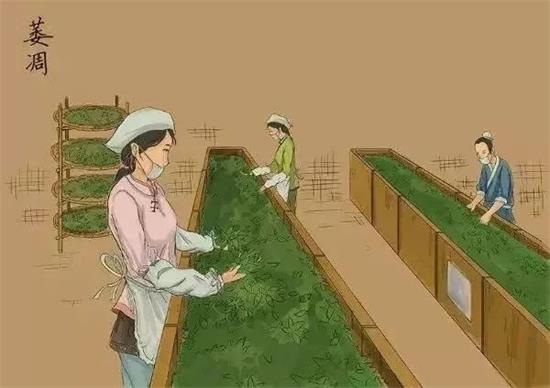 制茶八步驟，制茶工藝流程圖